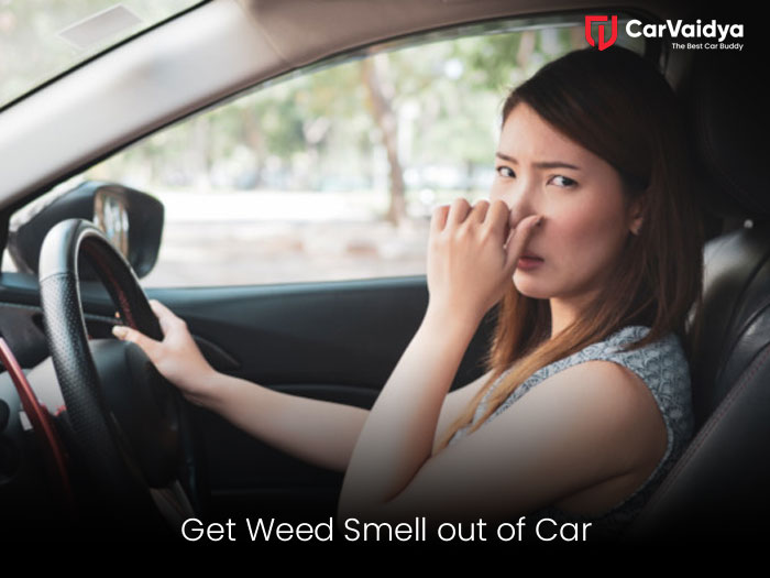 How to Get Weed Smell out of Car | CarVaidya