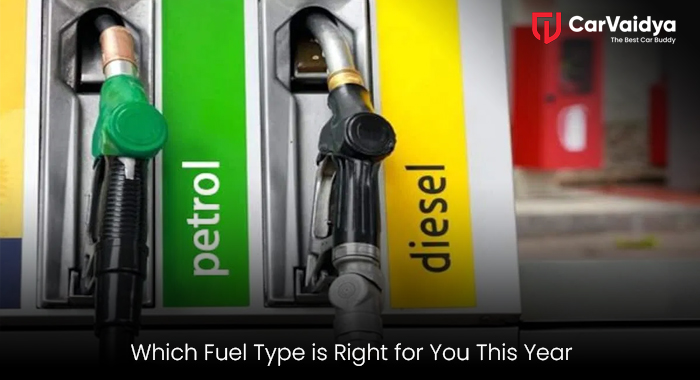 Which Fuel Type is Right for You This Year